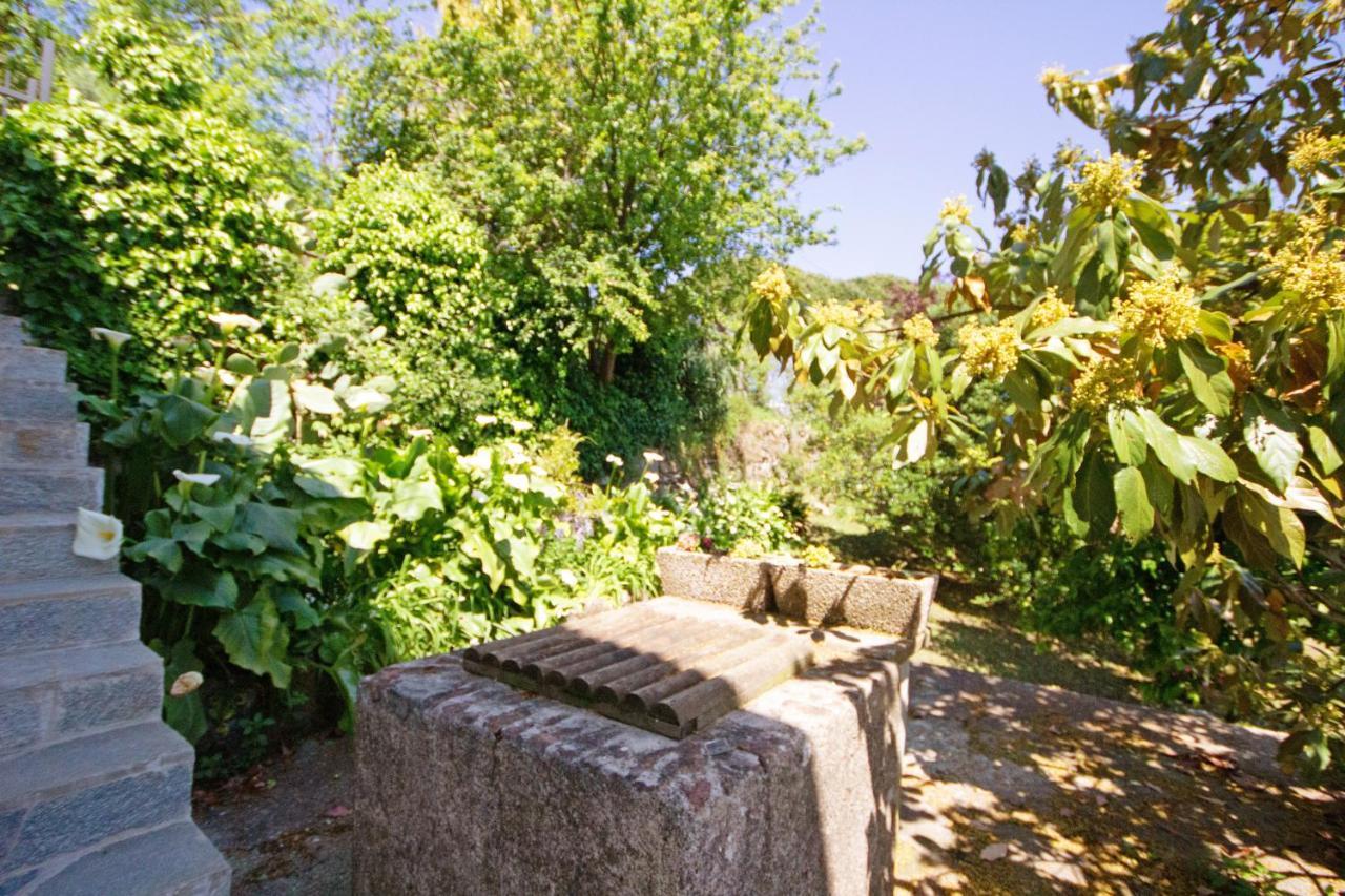 Monolocale Fattorialmare Viola Camogli Exterior foto